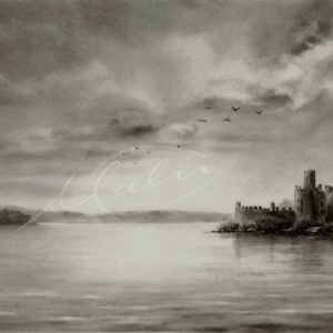 Charcoal Drawing Lough Key Boyle Co. Roscommon